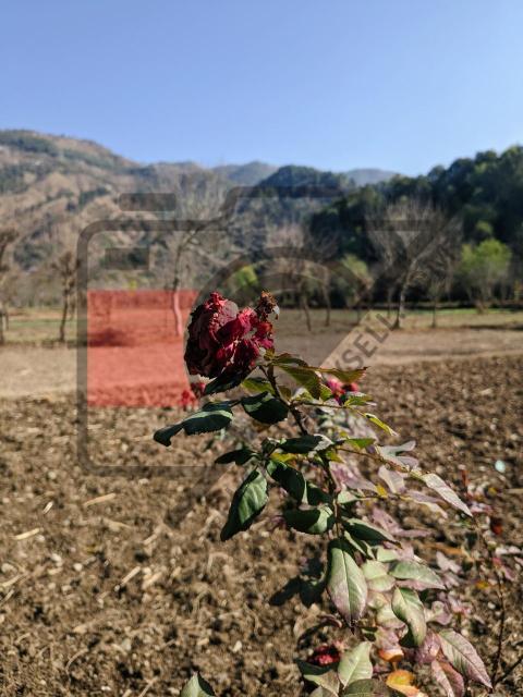 AGC 20250107 131842855